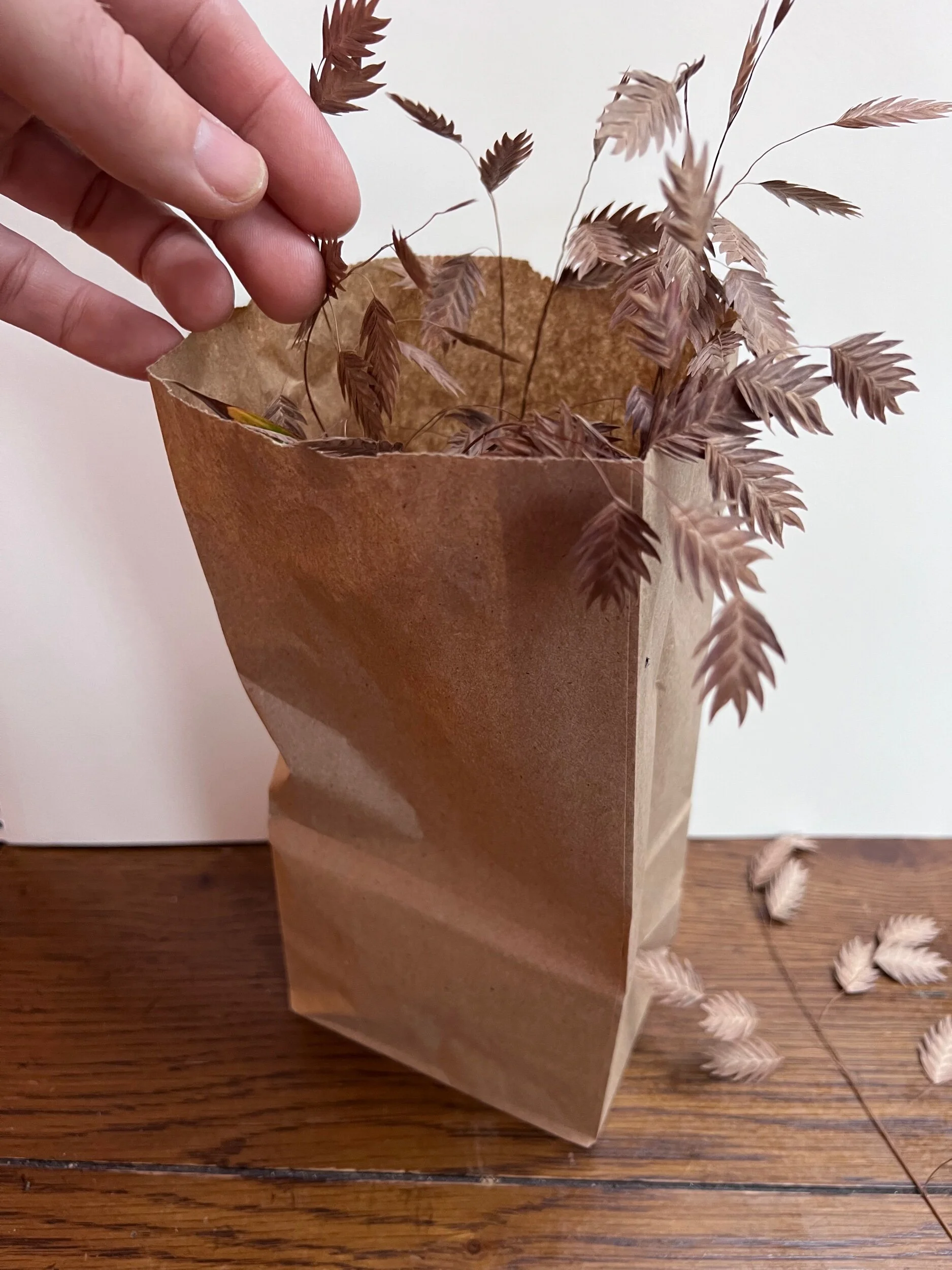 AB54024B-E282-4ADB-905A-3D294B6B6E7F