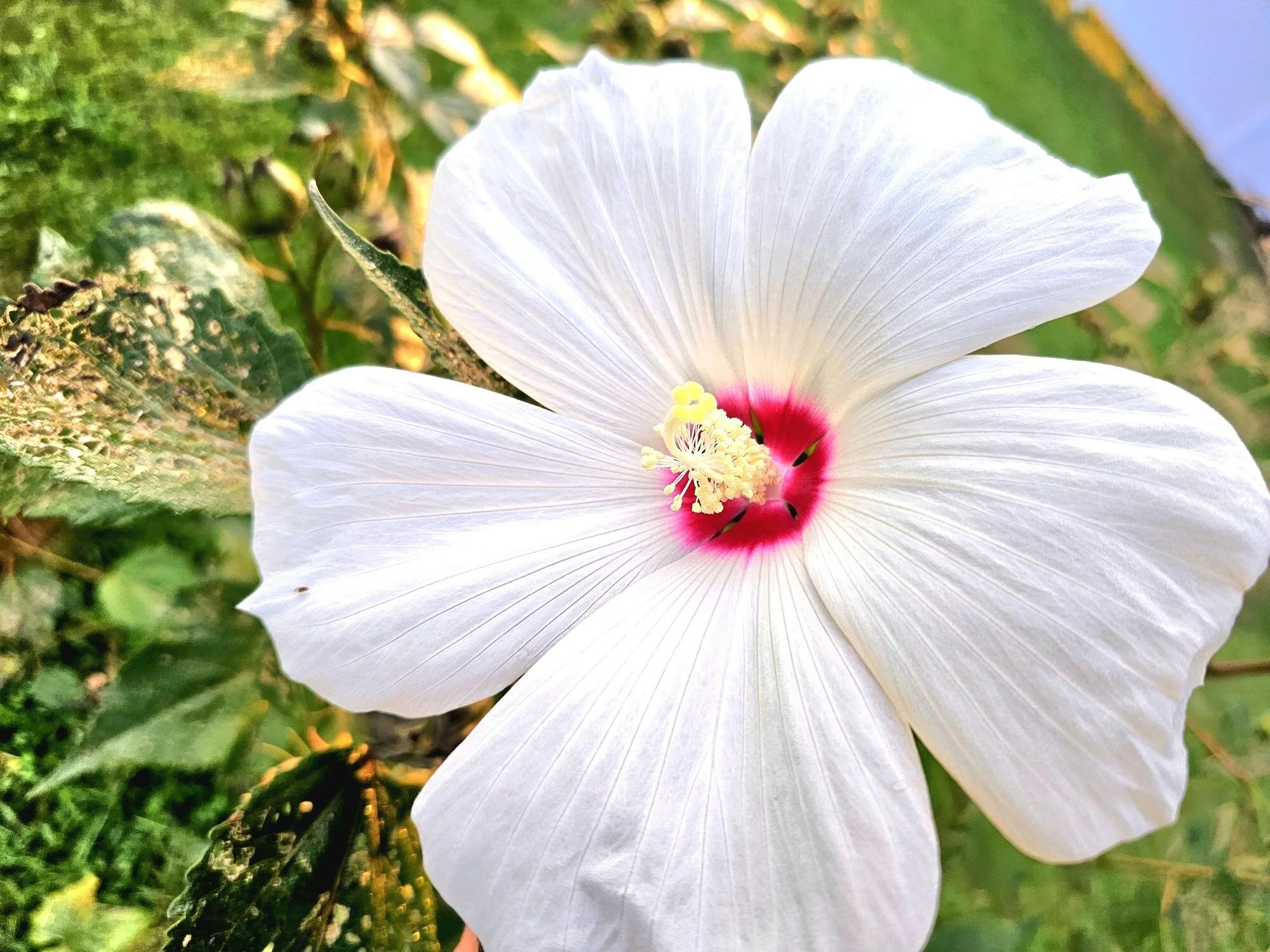 343CF31F-D561-4DDC-9D30-05BE91D073BB