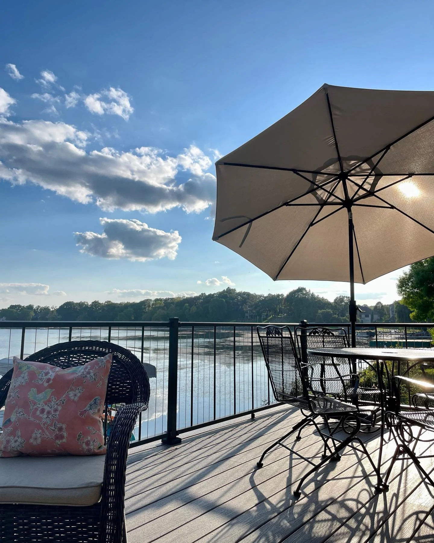 Decking and cable railing are done! Getting to the end - sort of. 🤪 But so happy and grateful we can do this. ❤️ This 8+ years in the making and savings. Dream do come true. We had other financial goals like getting out of debt and now we can RUN!

