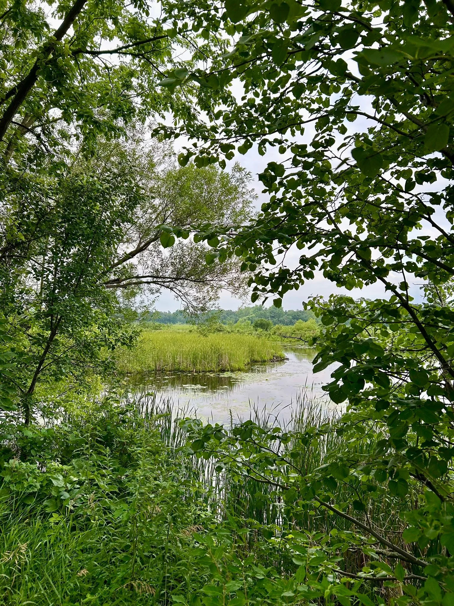 A walk around the lake is the best ending to a day. &hearts;️