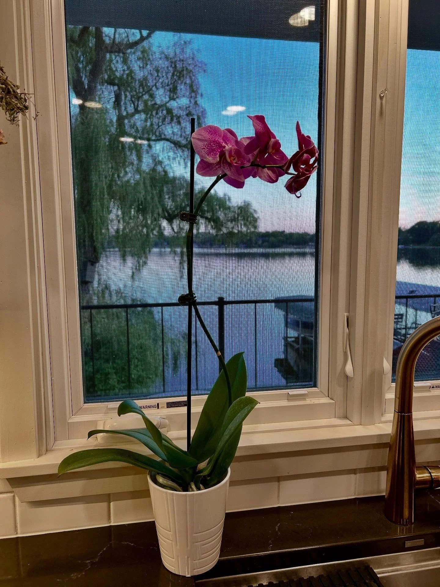 Birthday Beauty. 💕 Thank you everyone for the calls, texts, social posts, flowers, gifts. So much love I experienced! It was a perfect fall day in Minnesota too!

#mn #mnproud #beautyjunkie #beauty