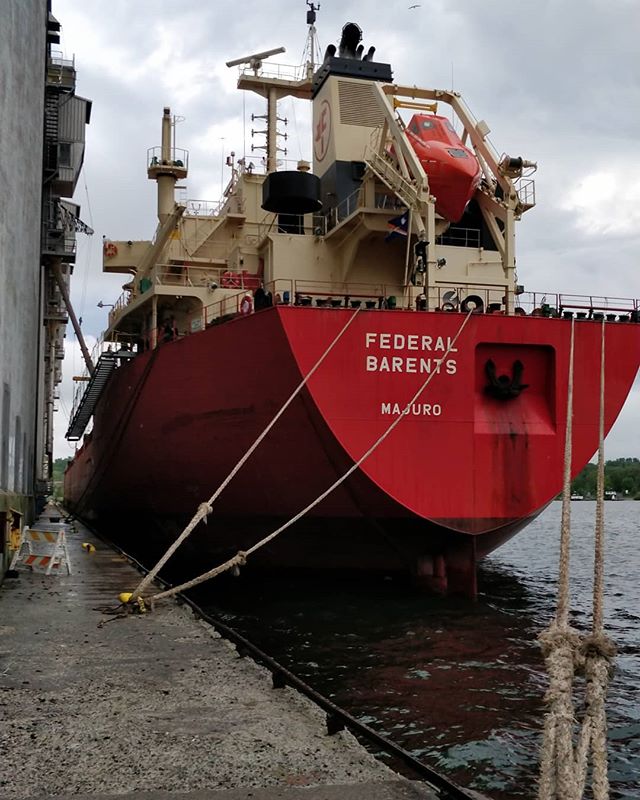 Federal Barents #thunderbay #portofthunderbay #thunderbayshipping #fednav