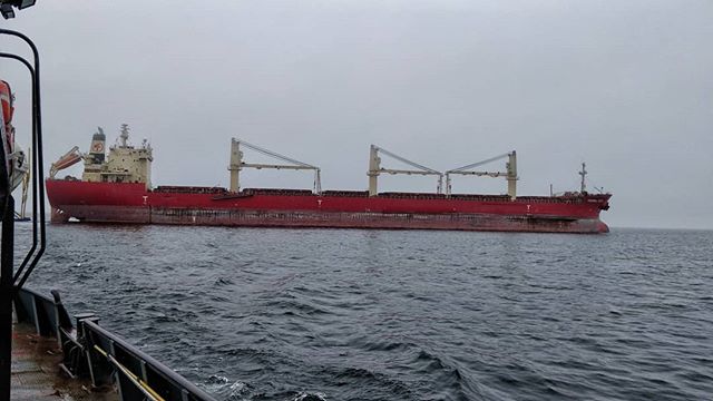 Federal Seto #portofthunderbay #thunderbay #thunderbayshipping #fednav #greatlakes