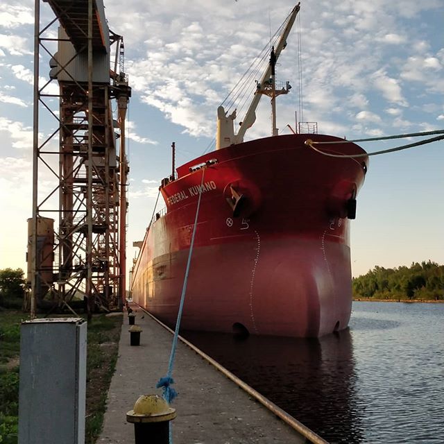 Federal Kumano #portofthunderbay #thunderbay #thunderbayshipping #fednav #greatlakes #lakesuperior