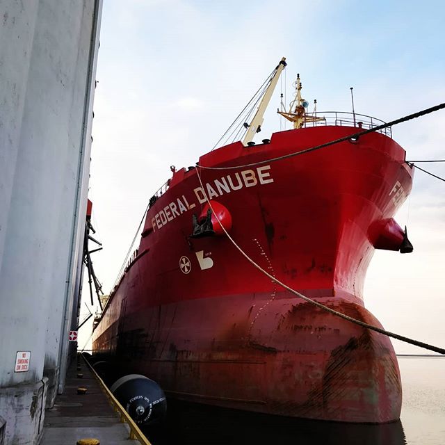 Federal Danube #portofthunderbay #thunderbay #thunderbayshipping #bulkcarrier #fednav
