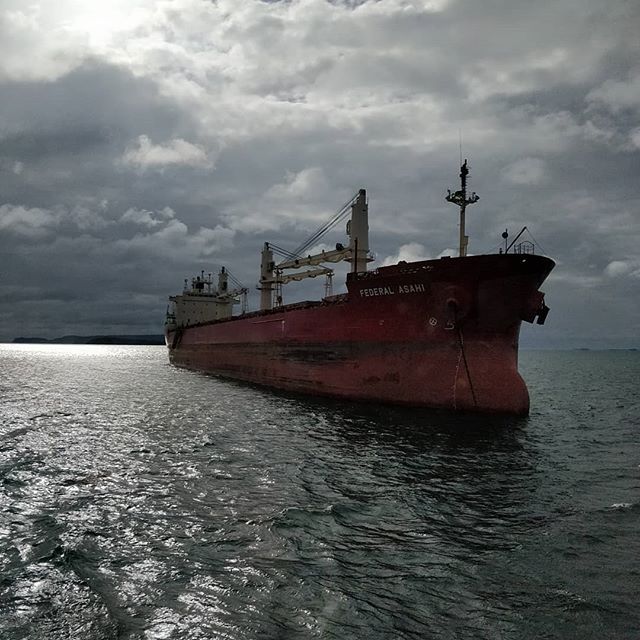 Federal Asahi #portofthunderbay #thunderbay #thunderbayshipping #lakesuperior #bulkcarrier #fednav