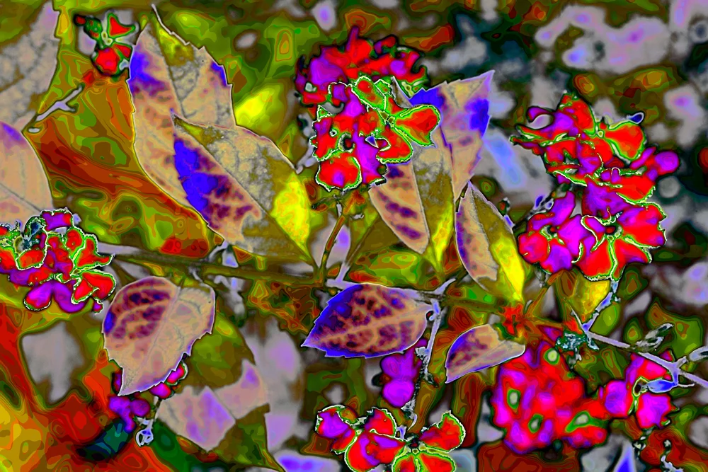 "Fleurs Fantastico" 2013 by Chuck Riech
