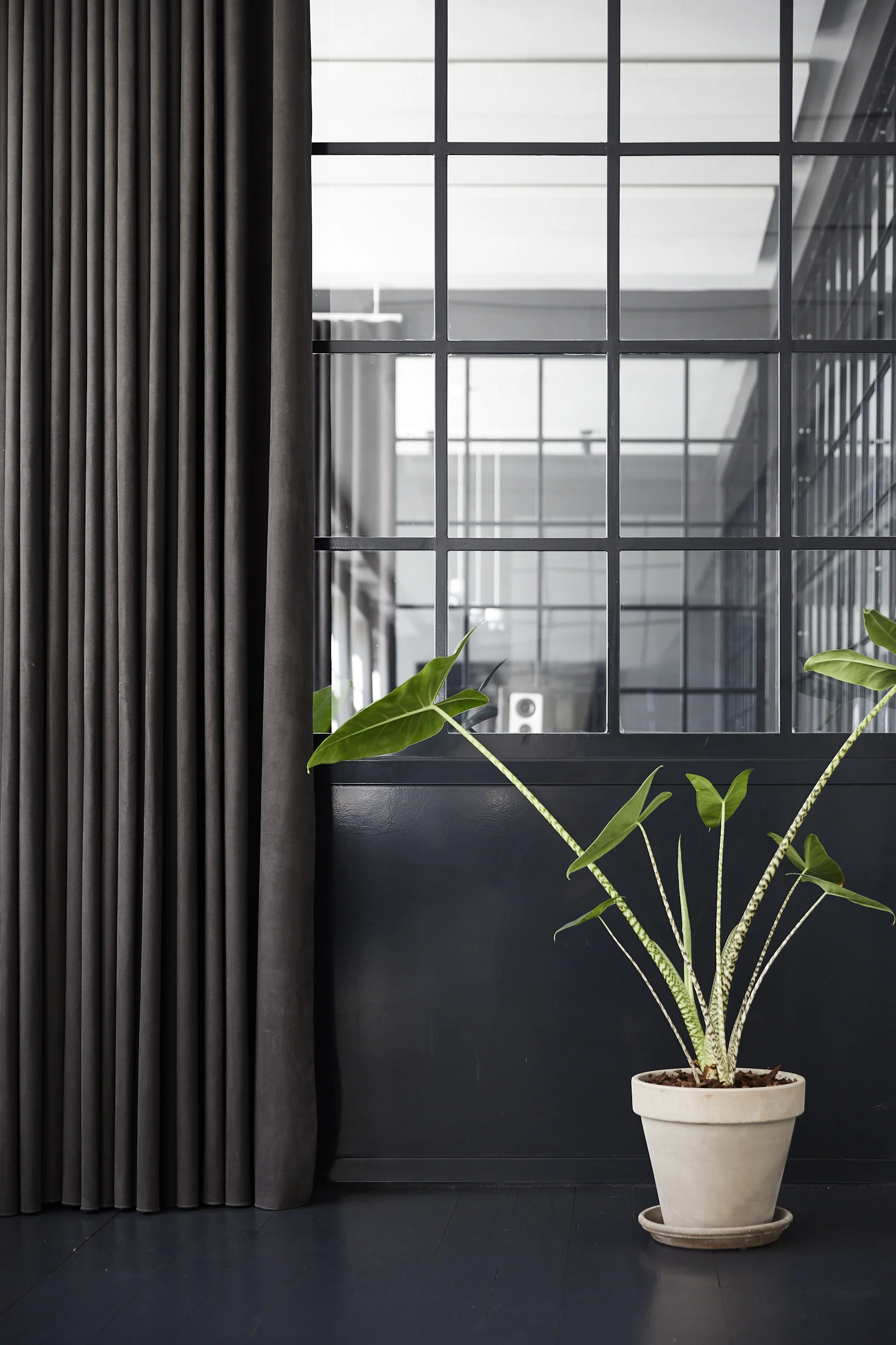 DISCO:WAX BY BLACK ARCHITECTURE