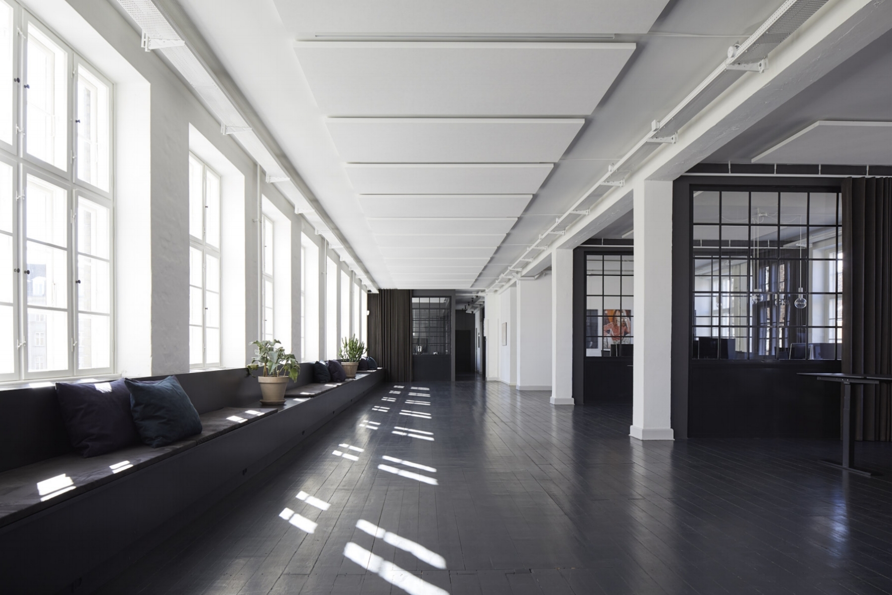 DISCO:WAX BY BLACK ARCHITECTURE