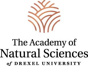 ANS_wordmark.png