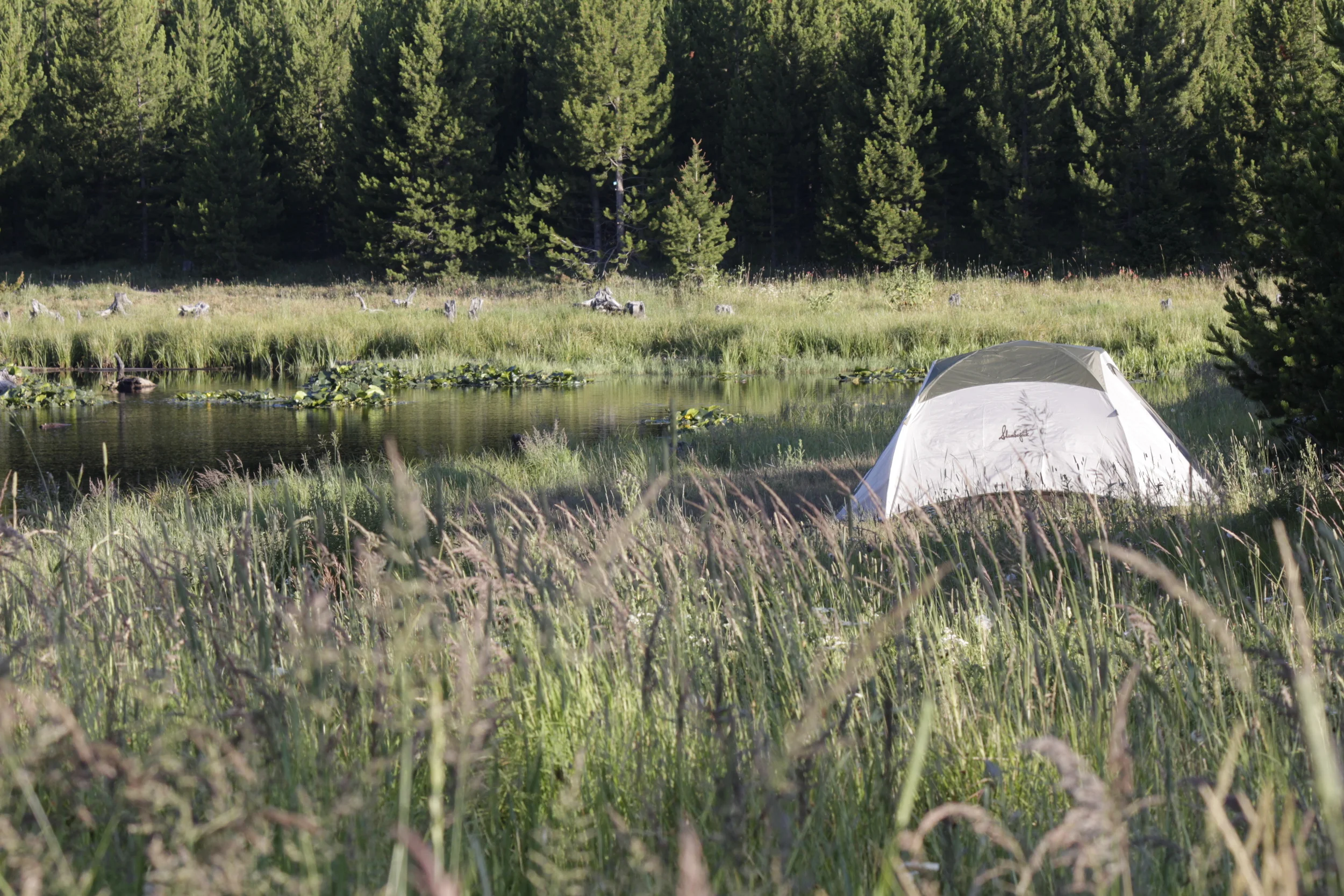 Camp Moonlight 2013- Emorrison284.JPG