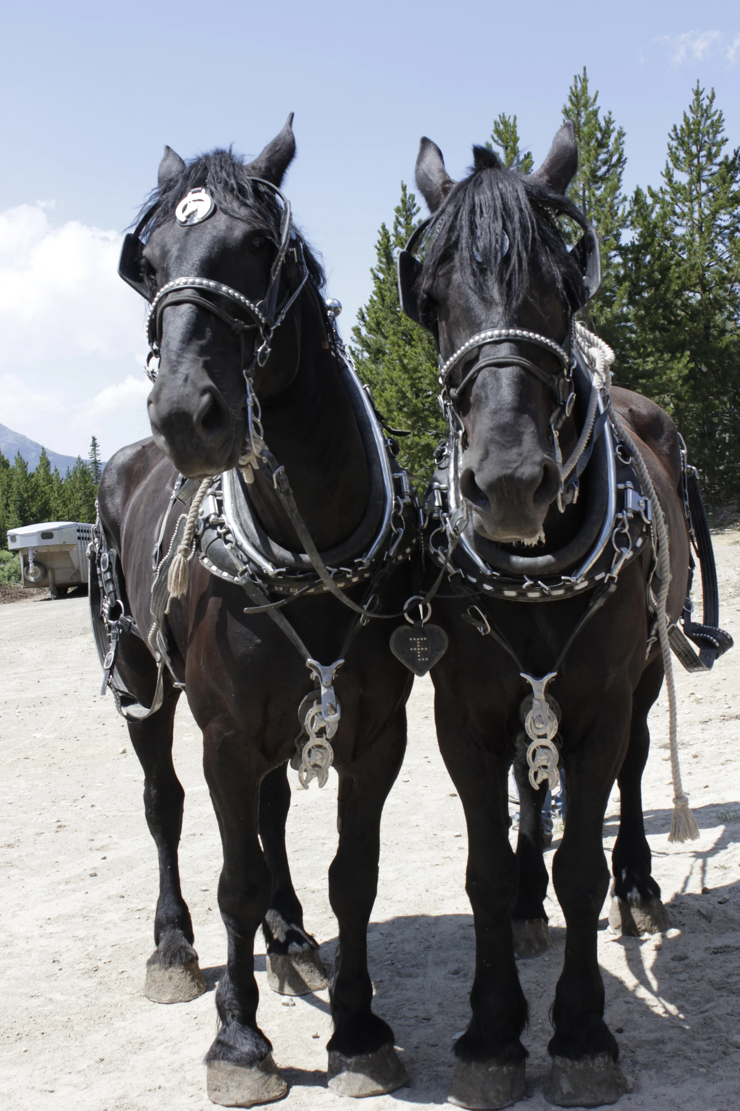 Camp Moonlight 2013- Emorrison139.JPG