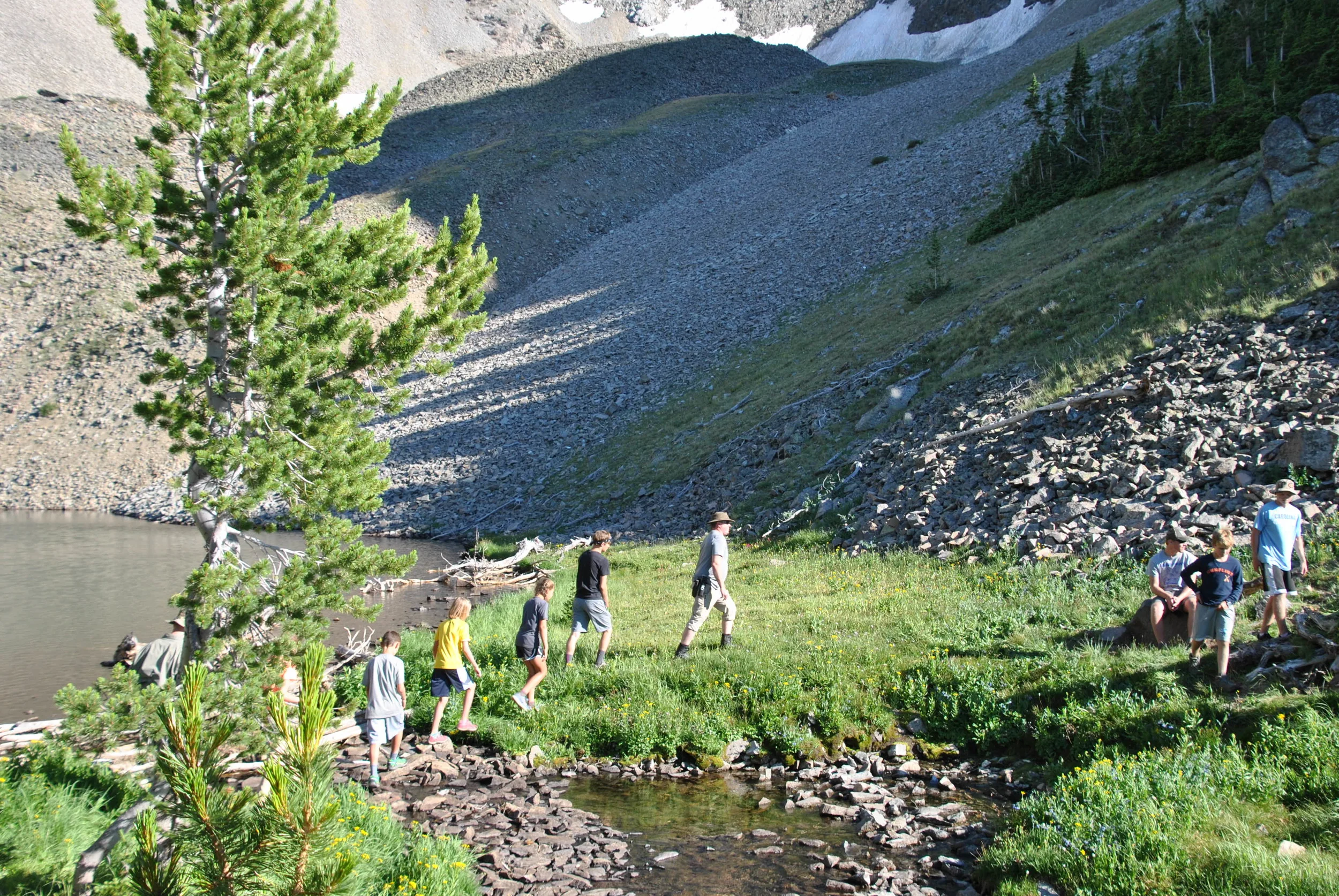 DSC_0602.JPG