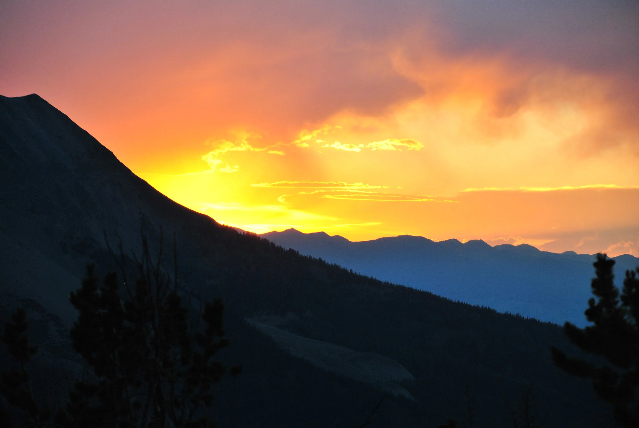 DSC_0820.JPG