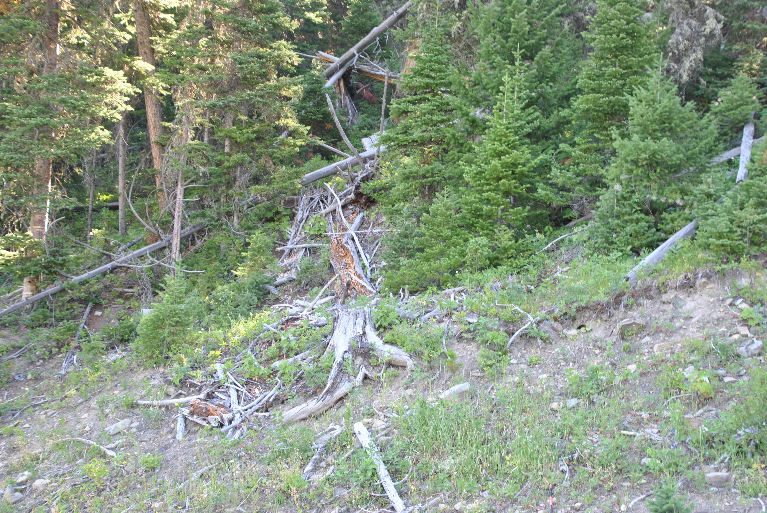 DSC_0020.JPG