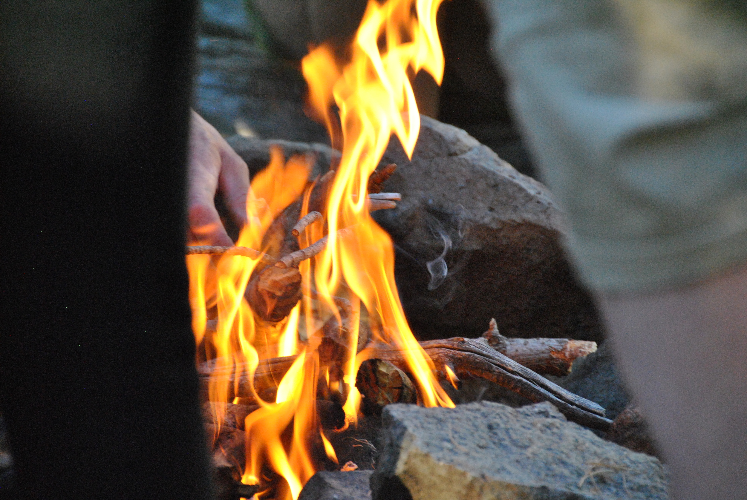 DSC_0644.JPG