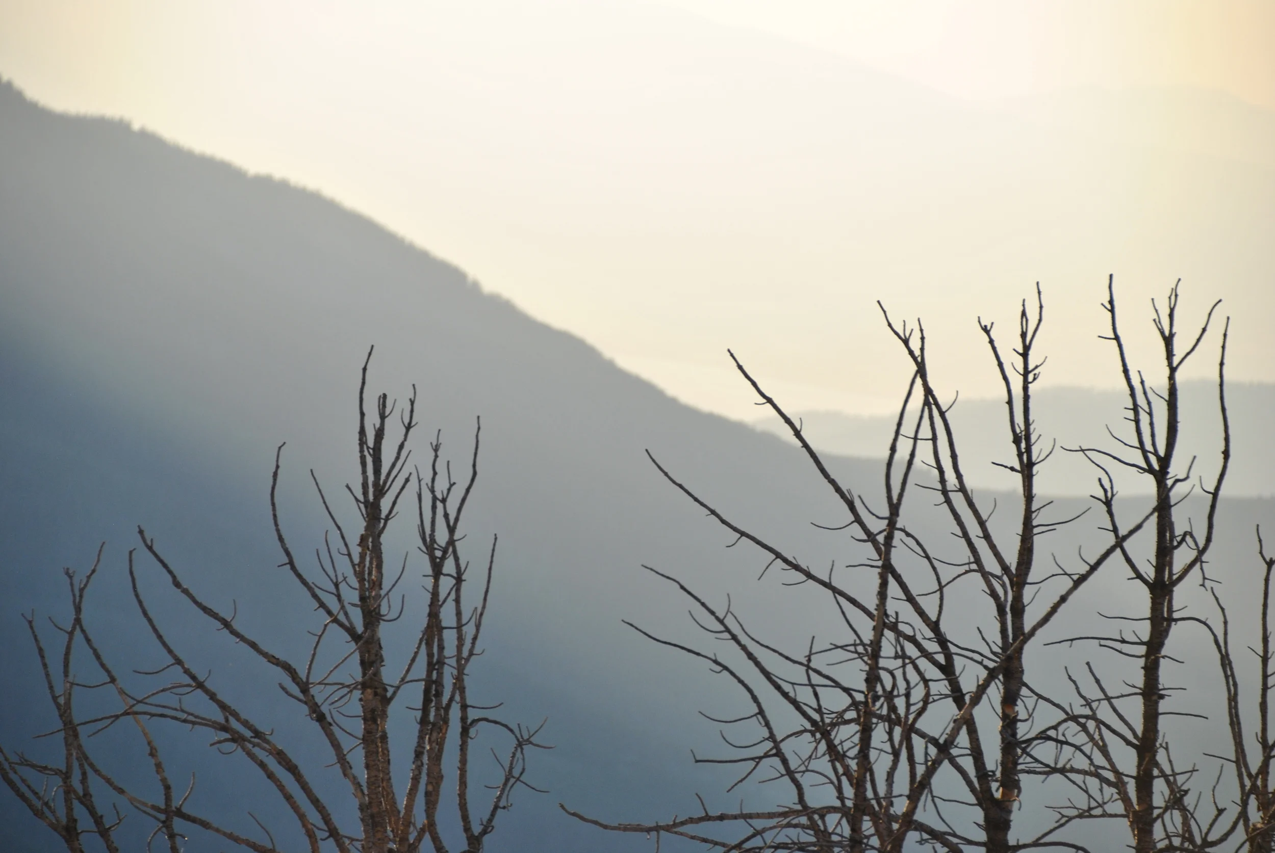 DSC_0691.JPG