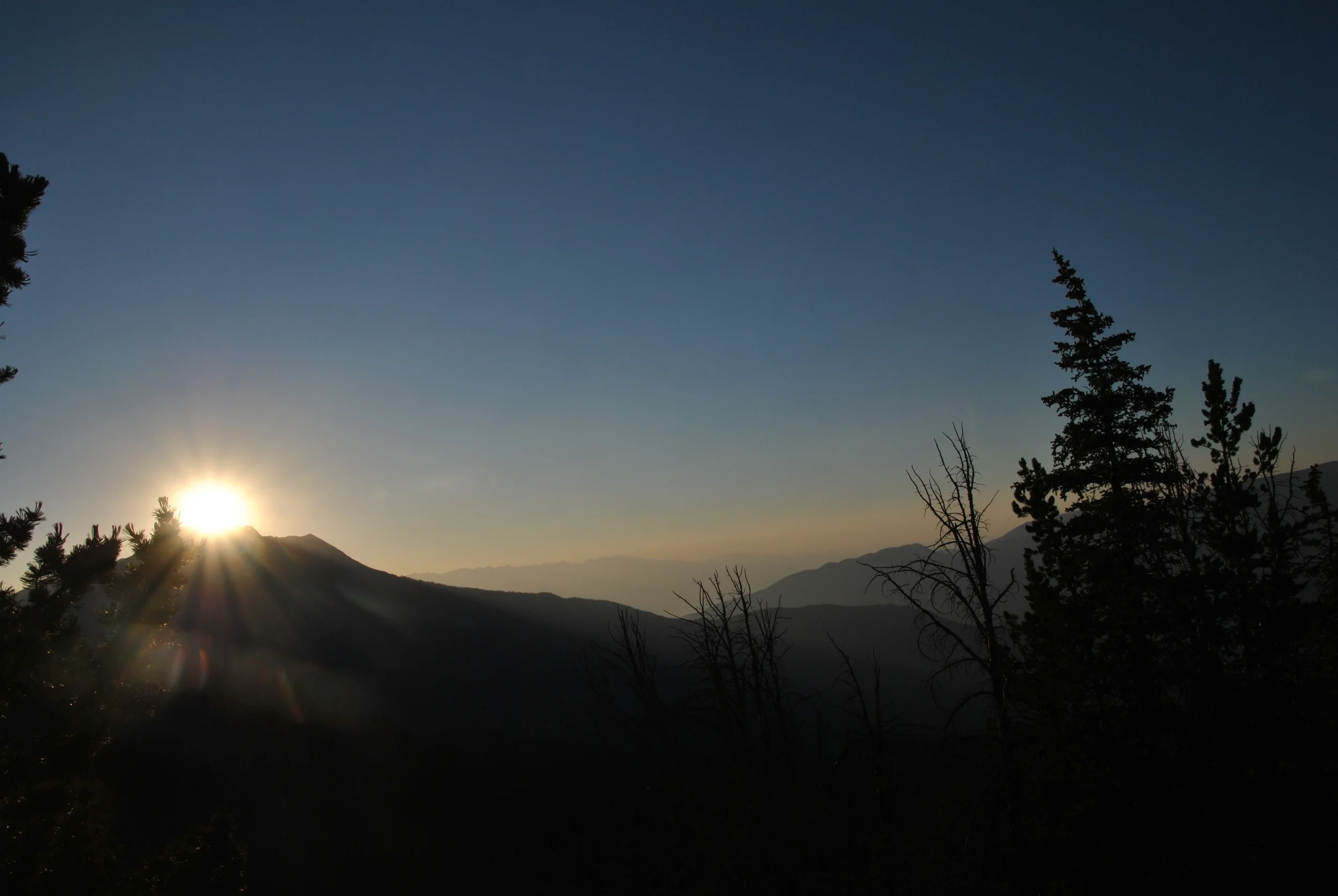 DSC_0695.JPG