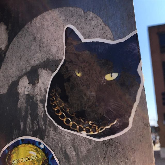 Meow. #slaps #slaptags #dcstickers