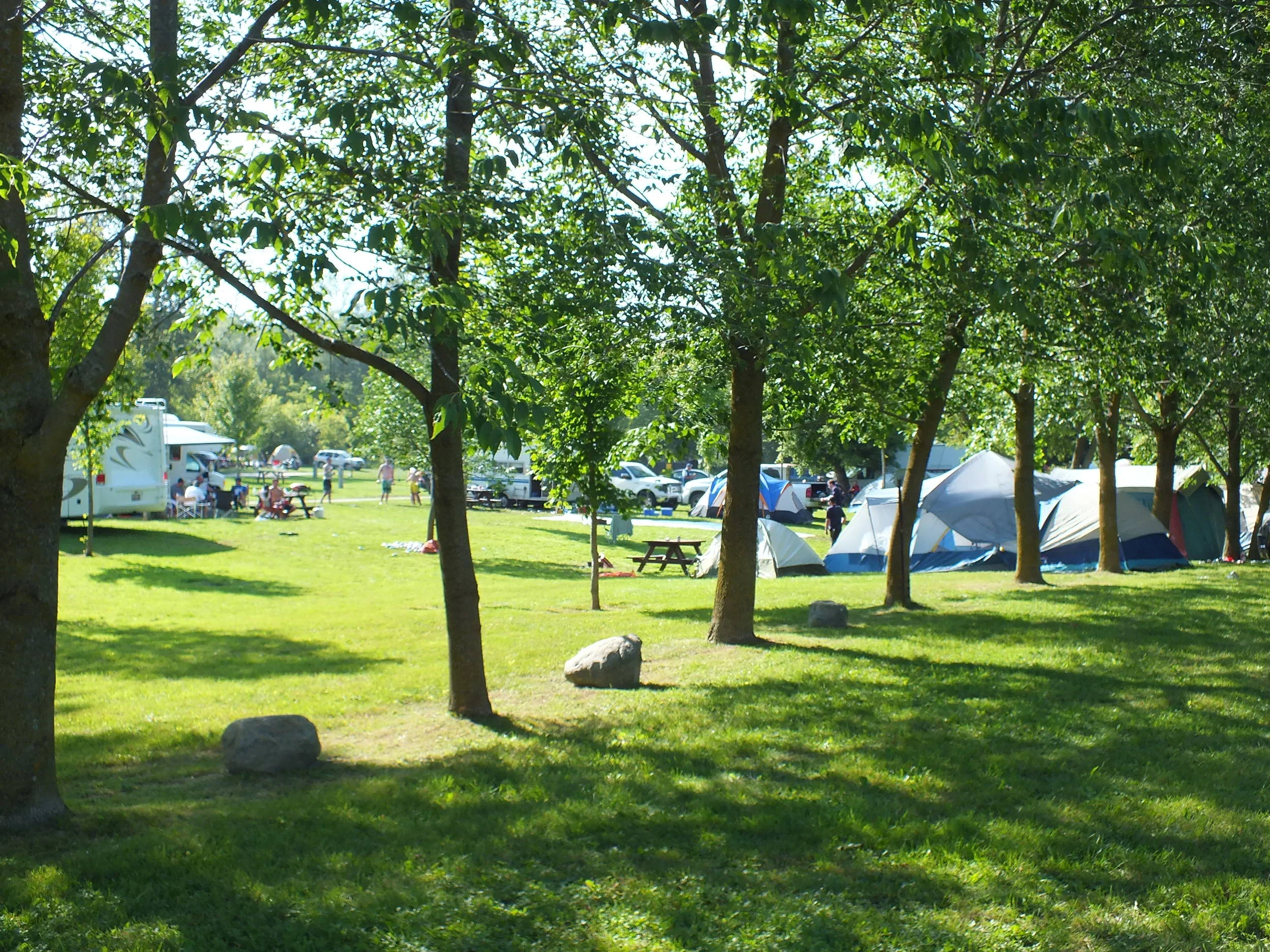 DSCF3479.jpg