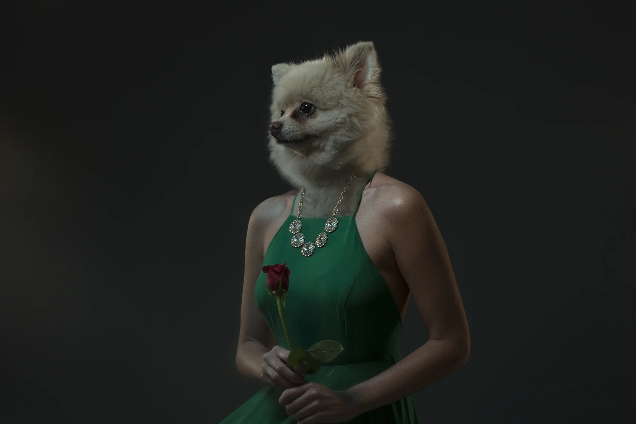 iaIMG_0294.jpg
