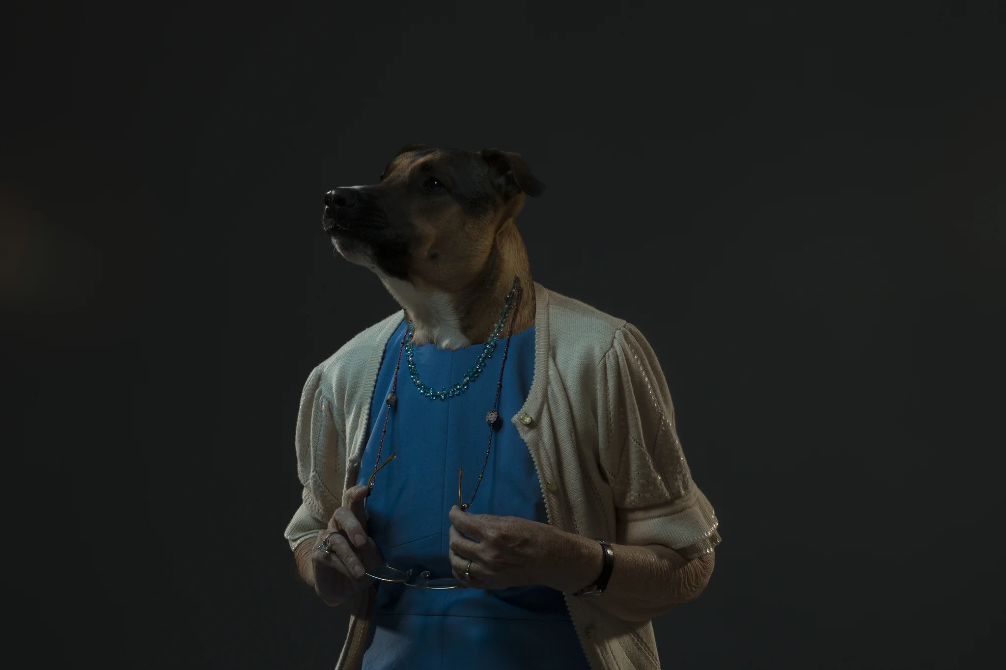 iaIMG_0586.jpg