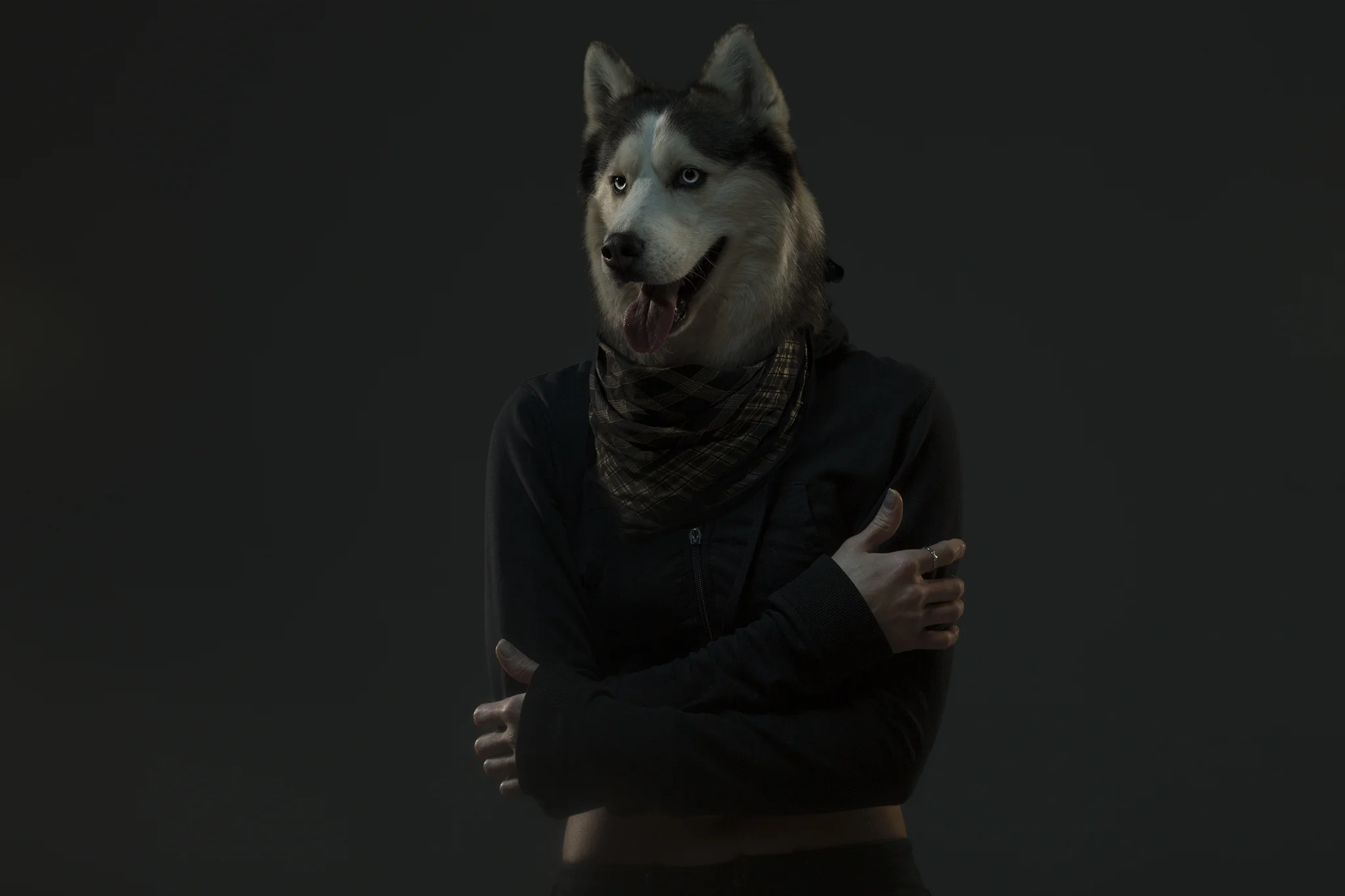 iaIMG_0878.jpg