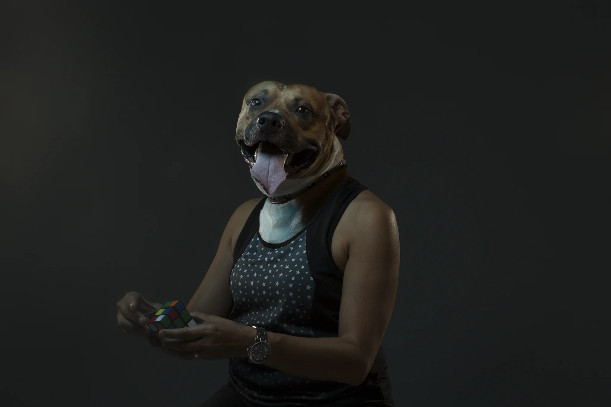 iaIMG_0215.jpg