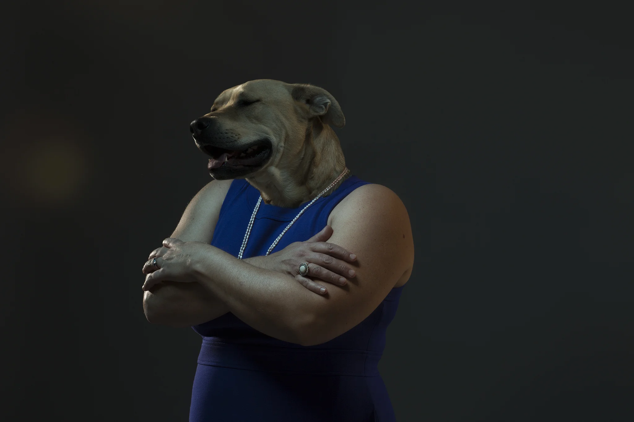 iaIMG_0552.jpg