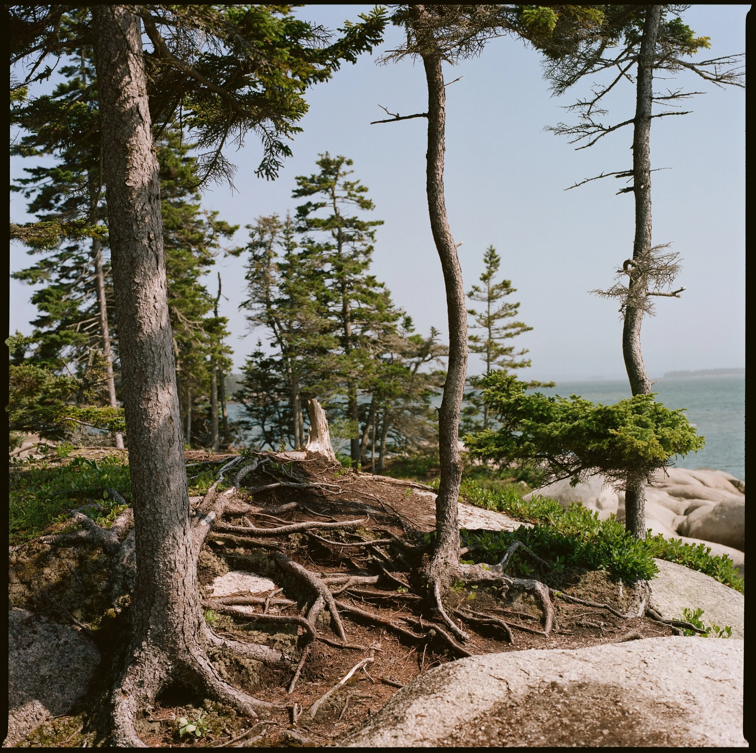 CC8CFA4C-72B4-458F-BEBB-2E30E3CF377B