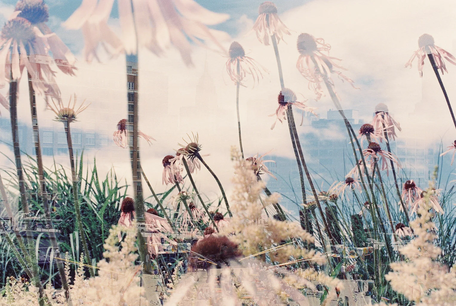 F656DBE5-29C3-4352-9409-9419AA0A2A6C