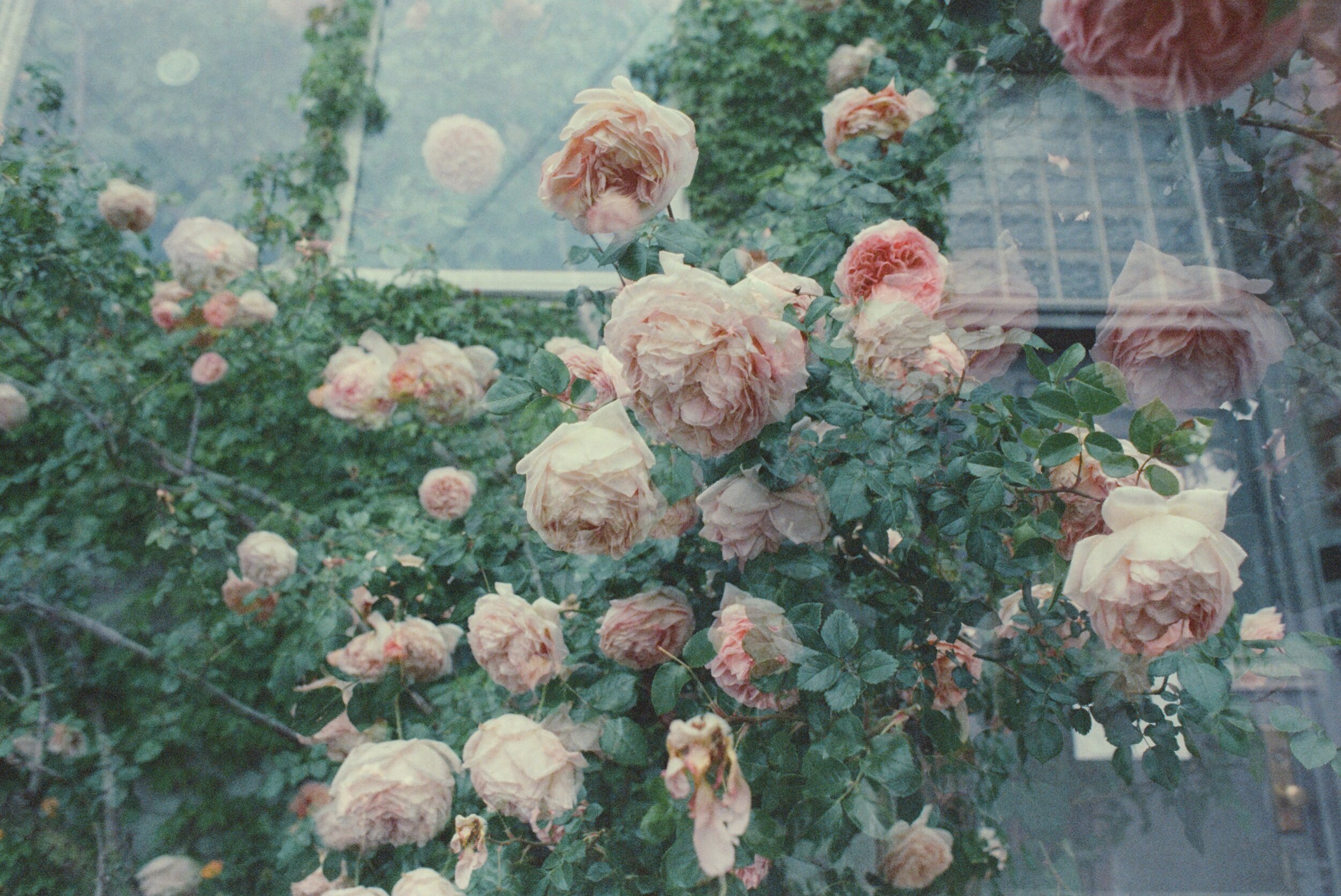 39CF3C1B-2CF7-4F8C-8CA6-6B19026365EA