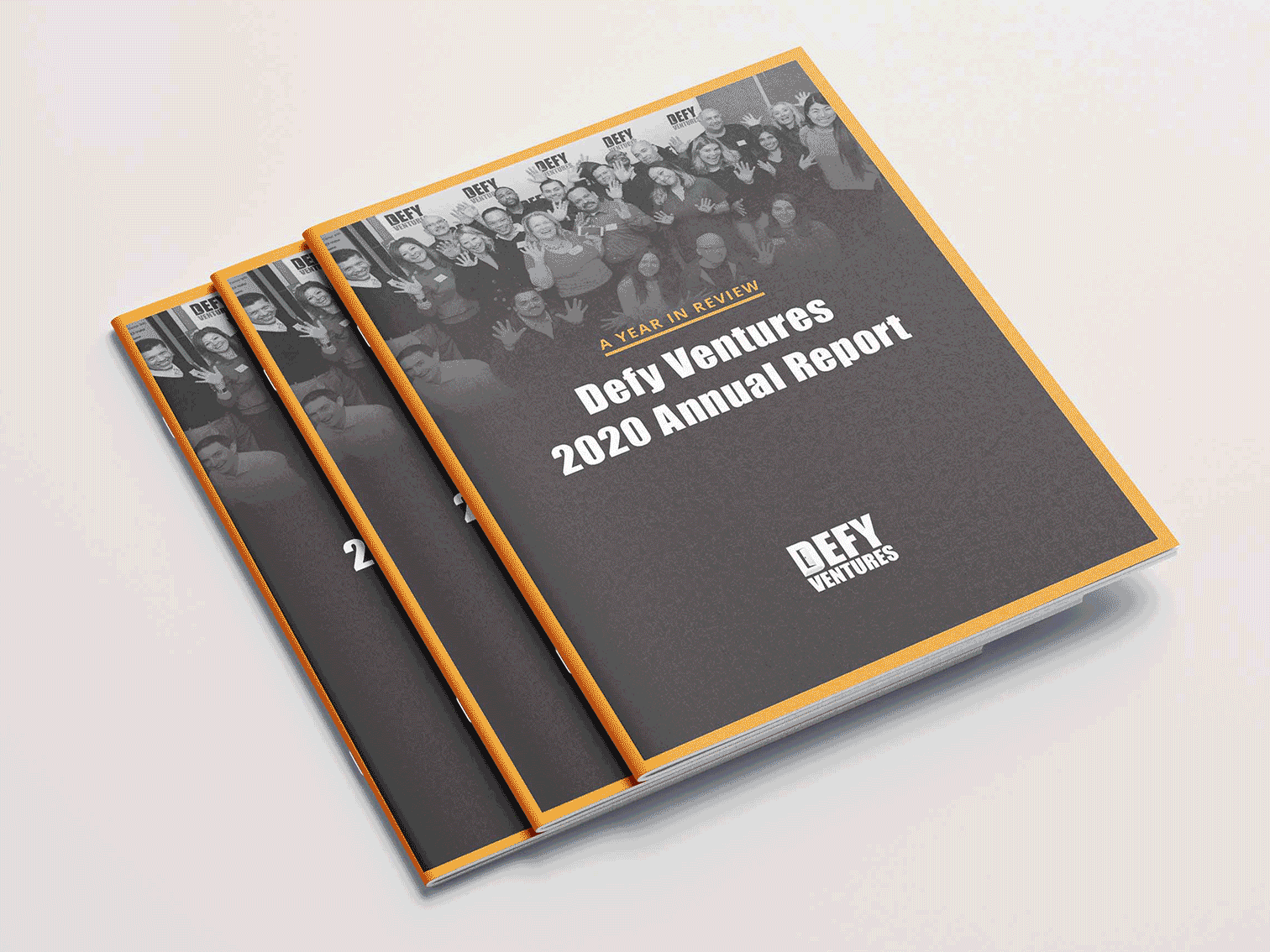 kalena_schoen_annual_report.gif