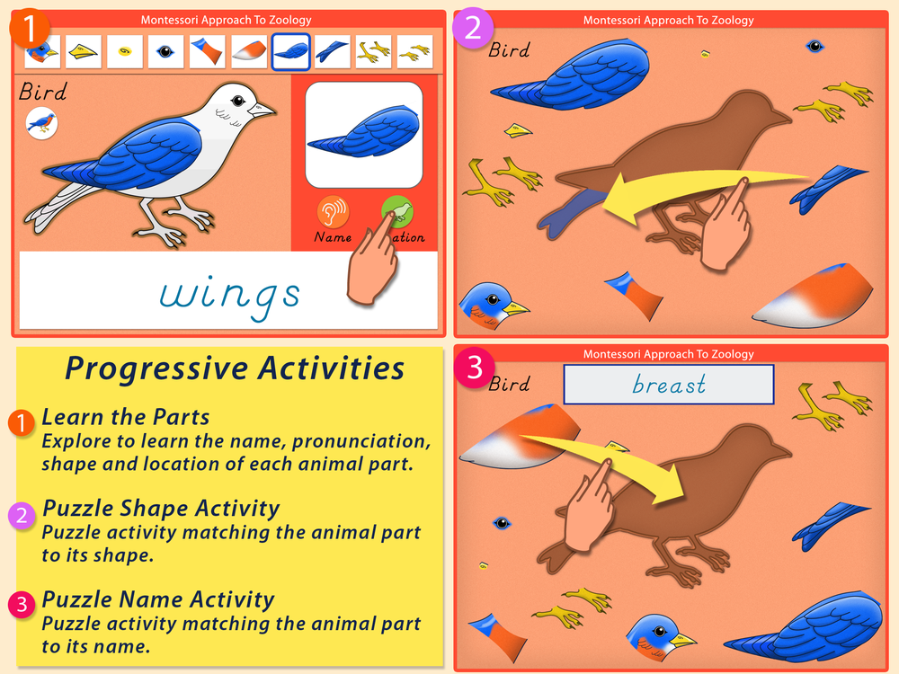 Parts of Animals - Vertebrates — Mobile Montessori