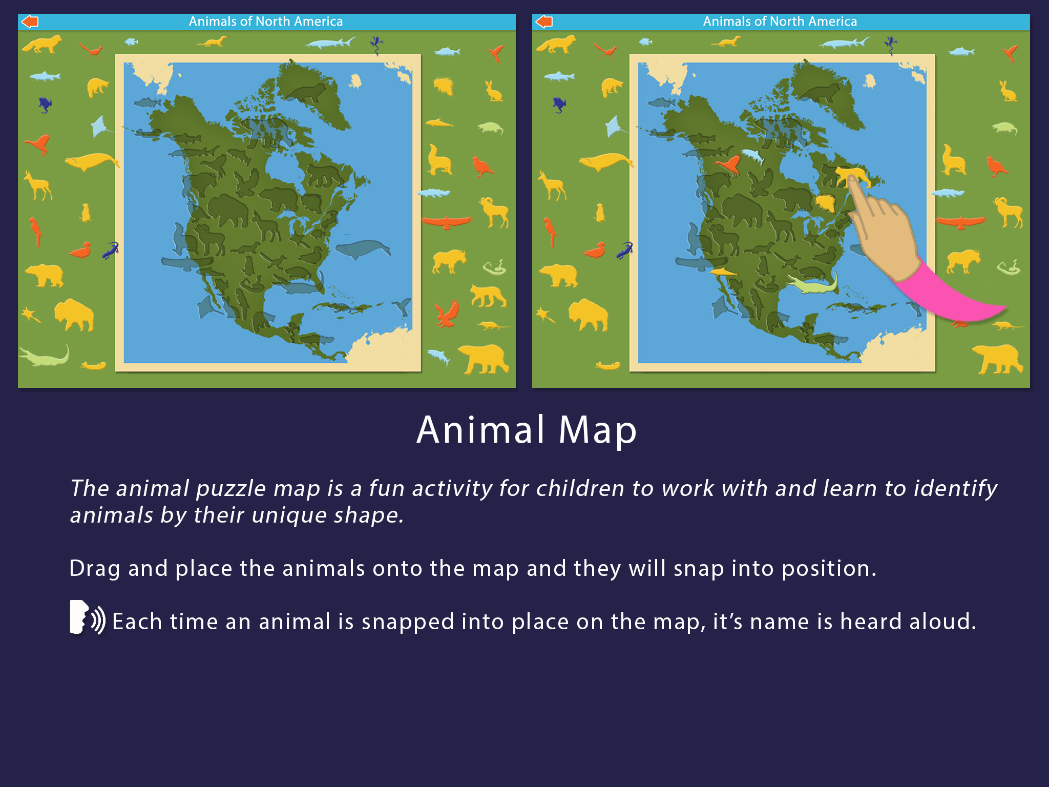 Animals of North America — Mobile Montessori