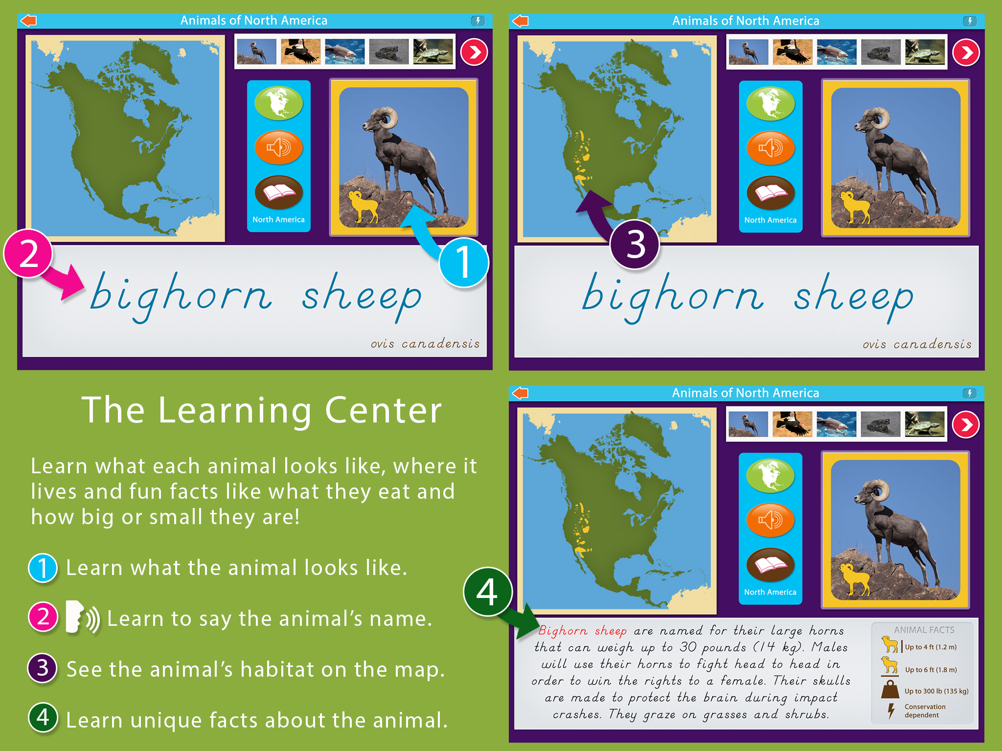 Animals of North America — Mobile Montessori