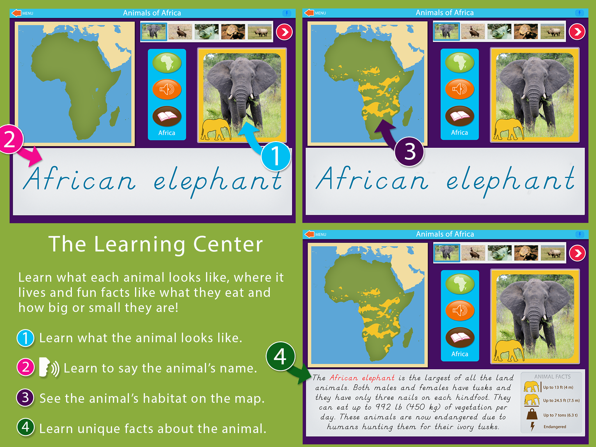 Animals_Of_Africa_Montessori_sc1.png