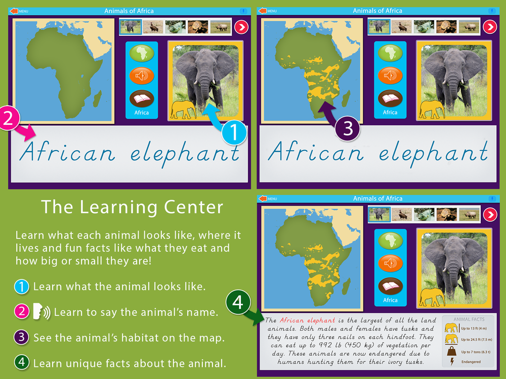 Animals of Africa — Mobile Montessori