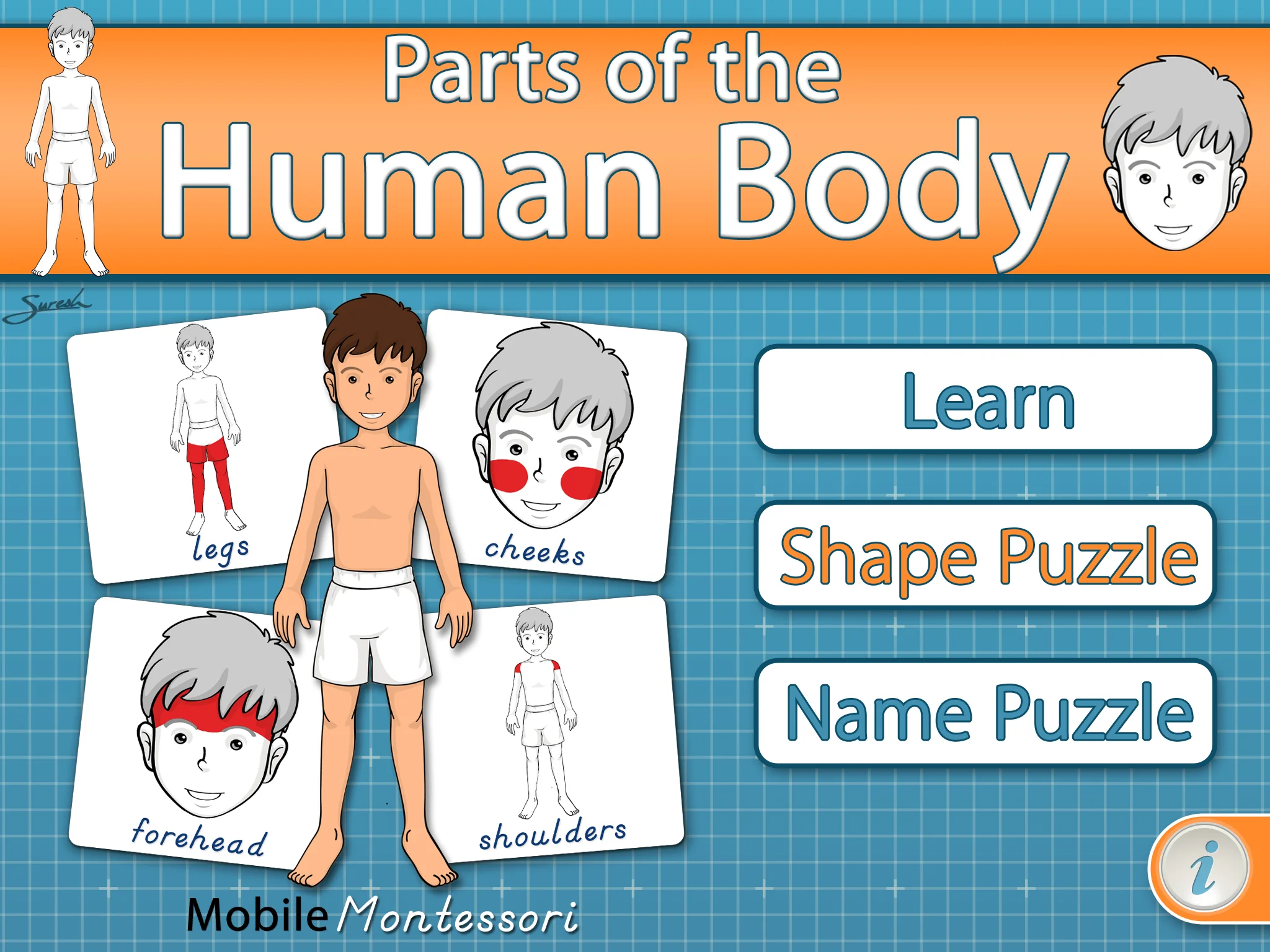 PartsofBody-SC5-Reg.png