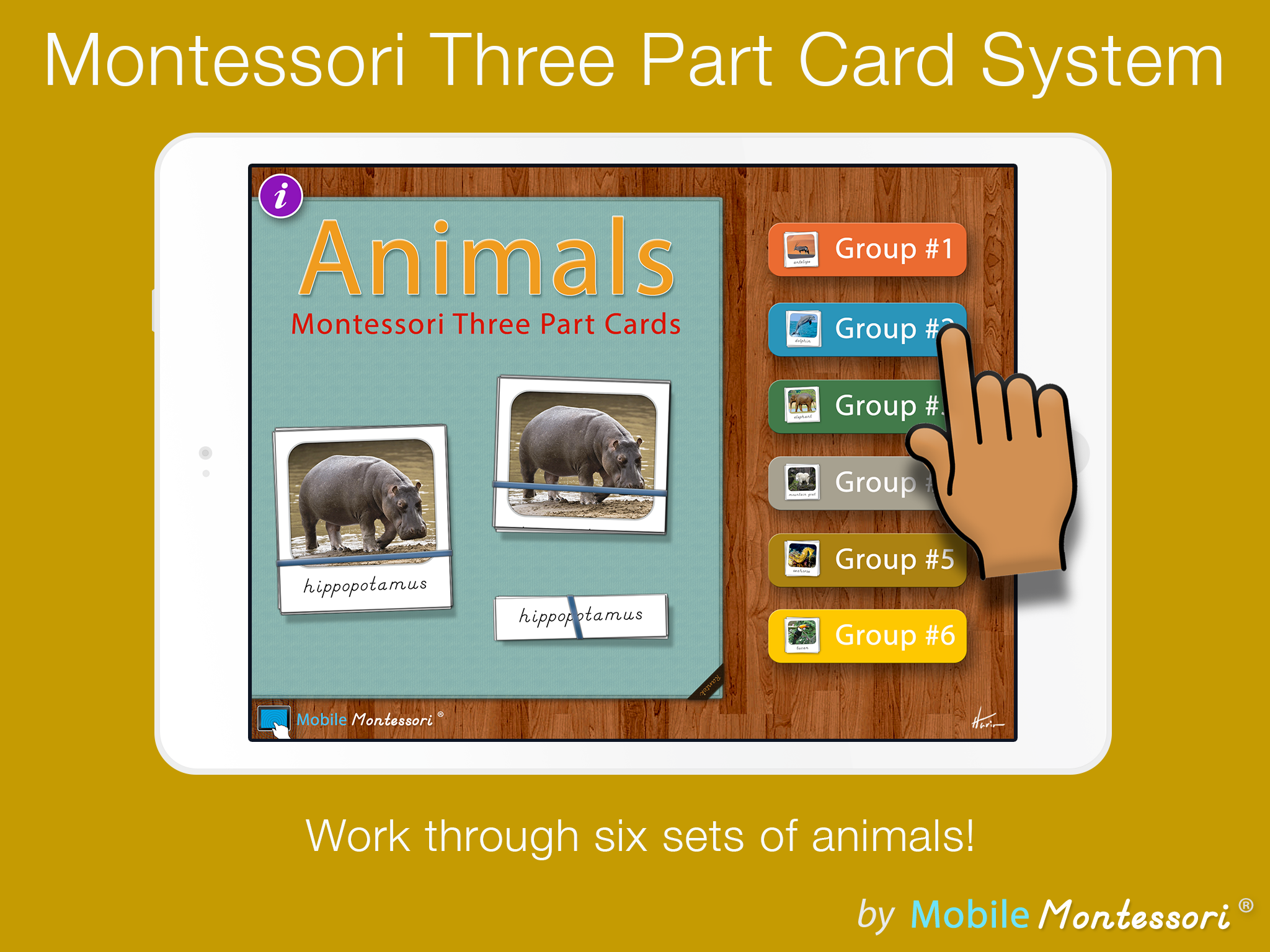 AnimalsSC5-reg.png