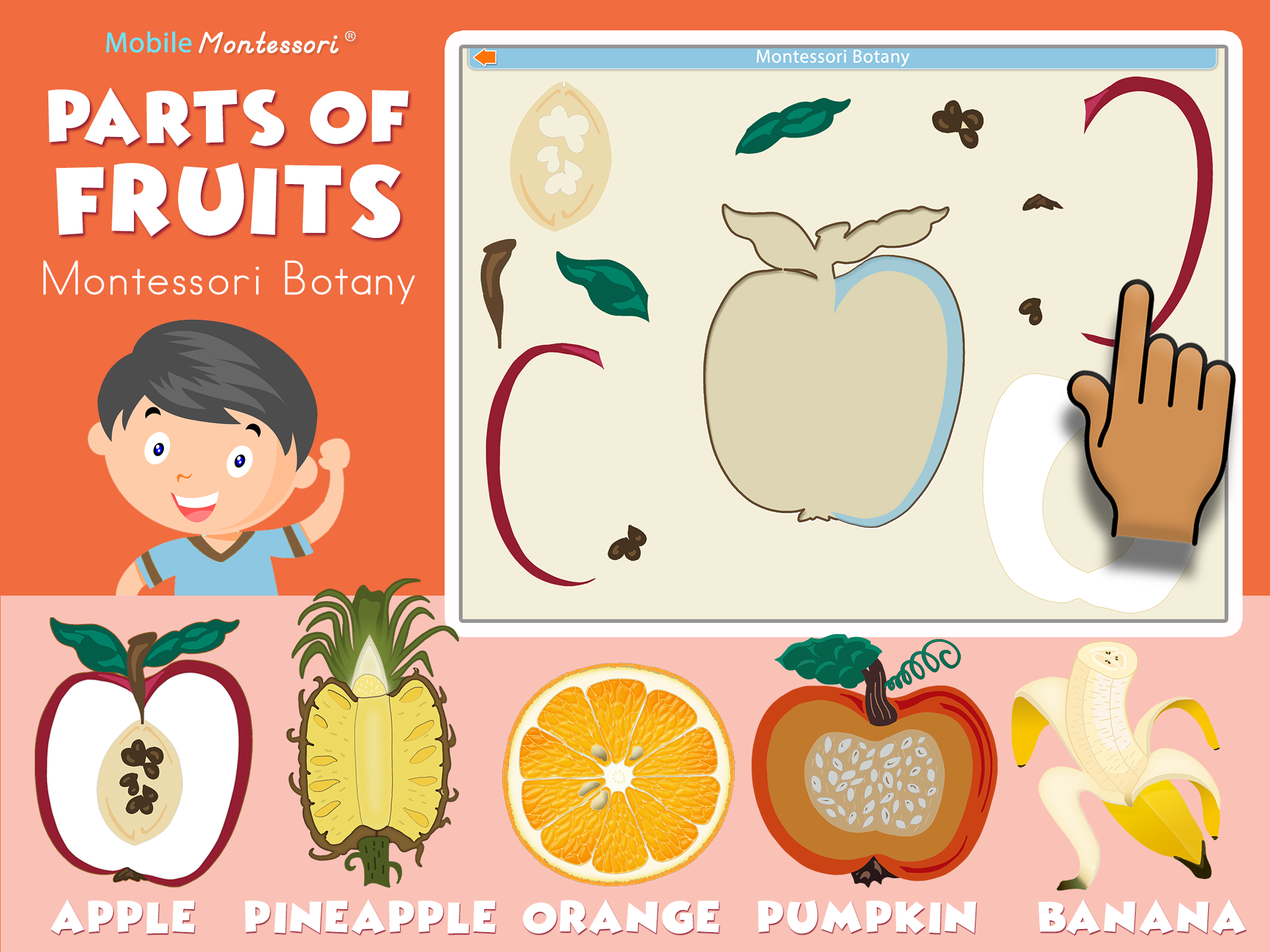 Fruits-SC1-ipad-reg.png