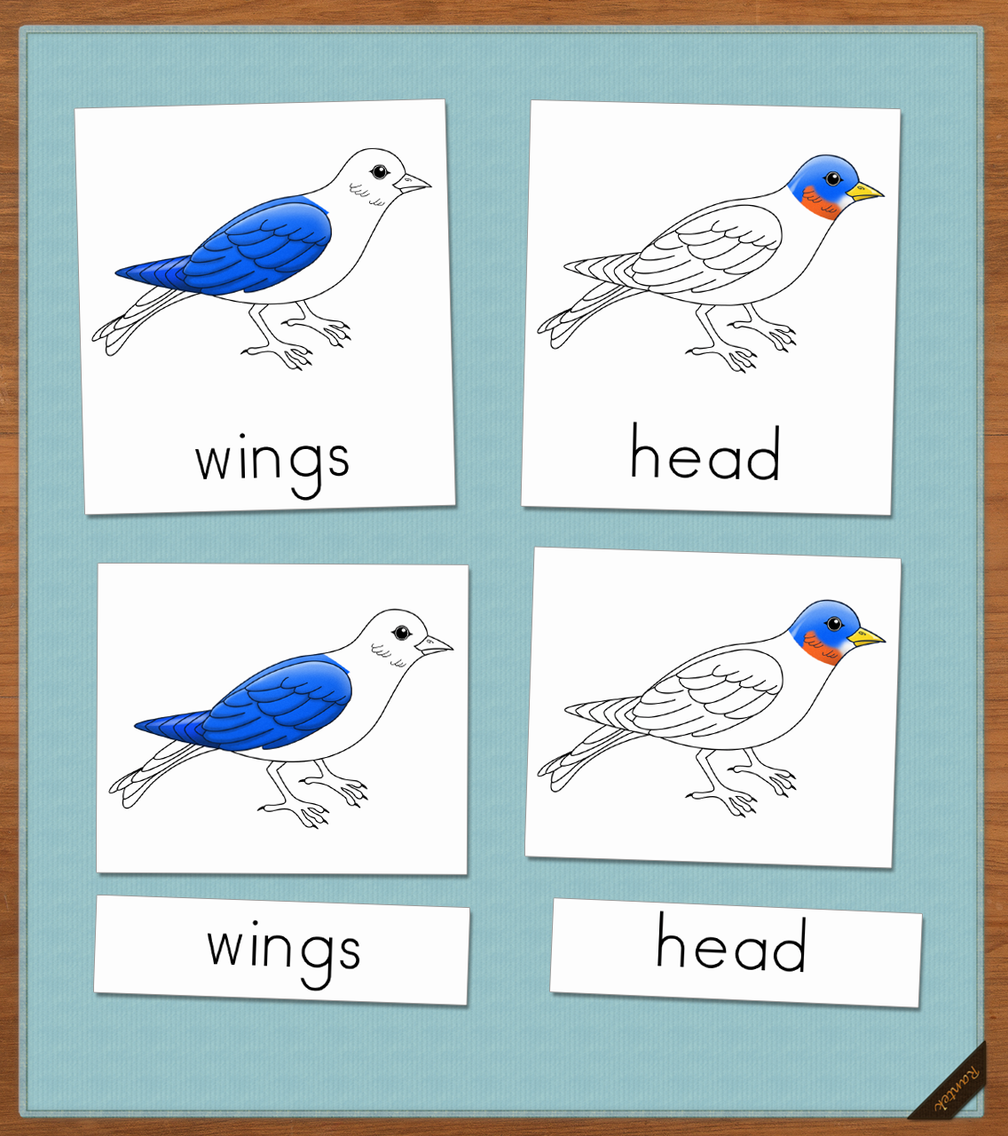 BirdSample1.png
