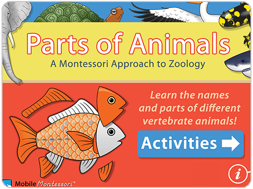 Parts of Vertebrate Animals