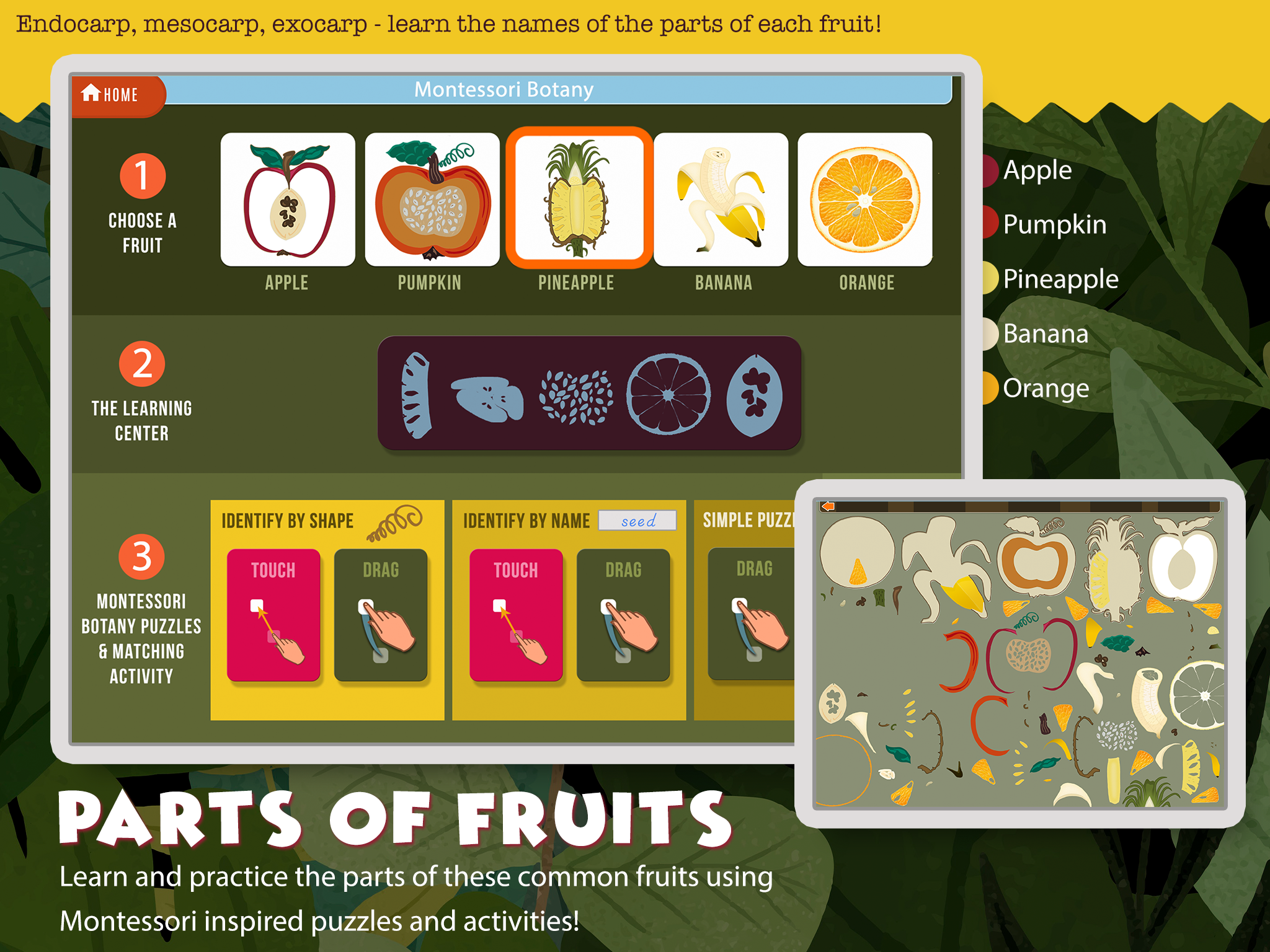 MontessoriScience-ipad-SC7-reg.png