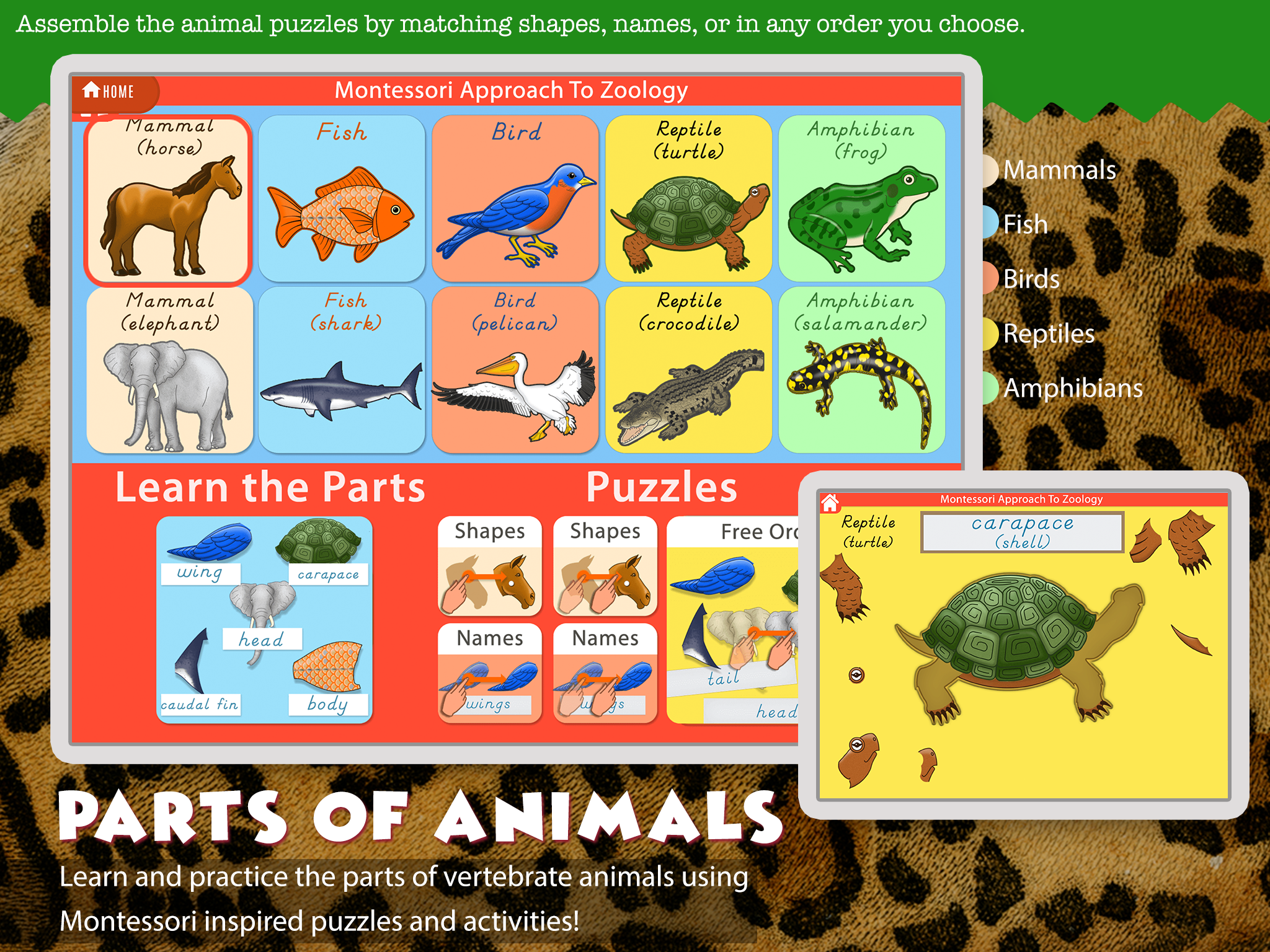 MontessoriScience-ipad-SC8-reg.png