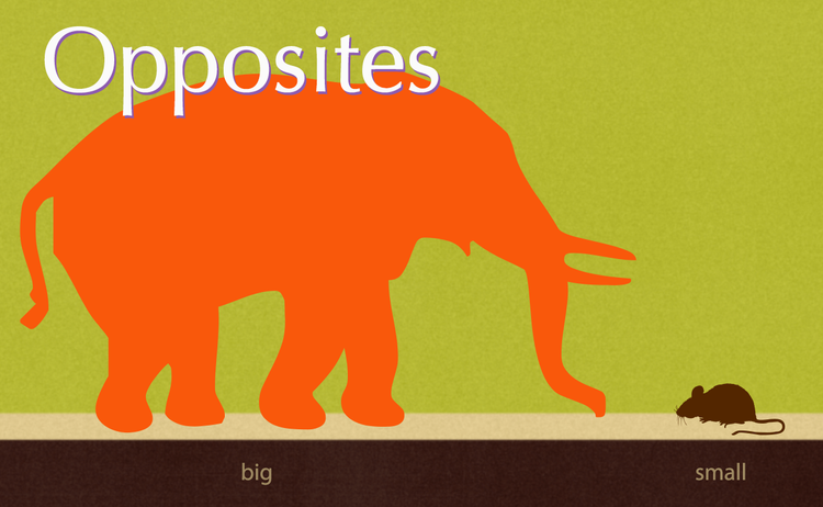 Mobile Montessori screen 5