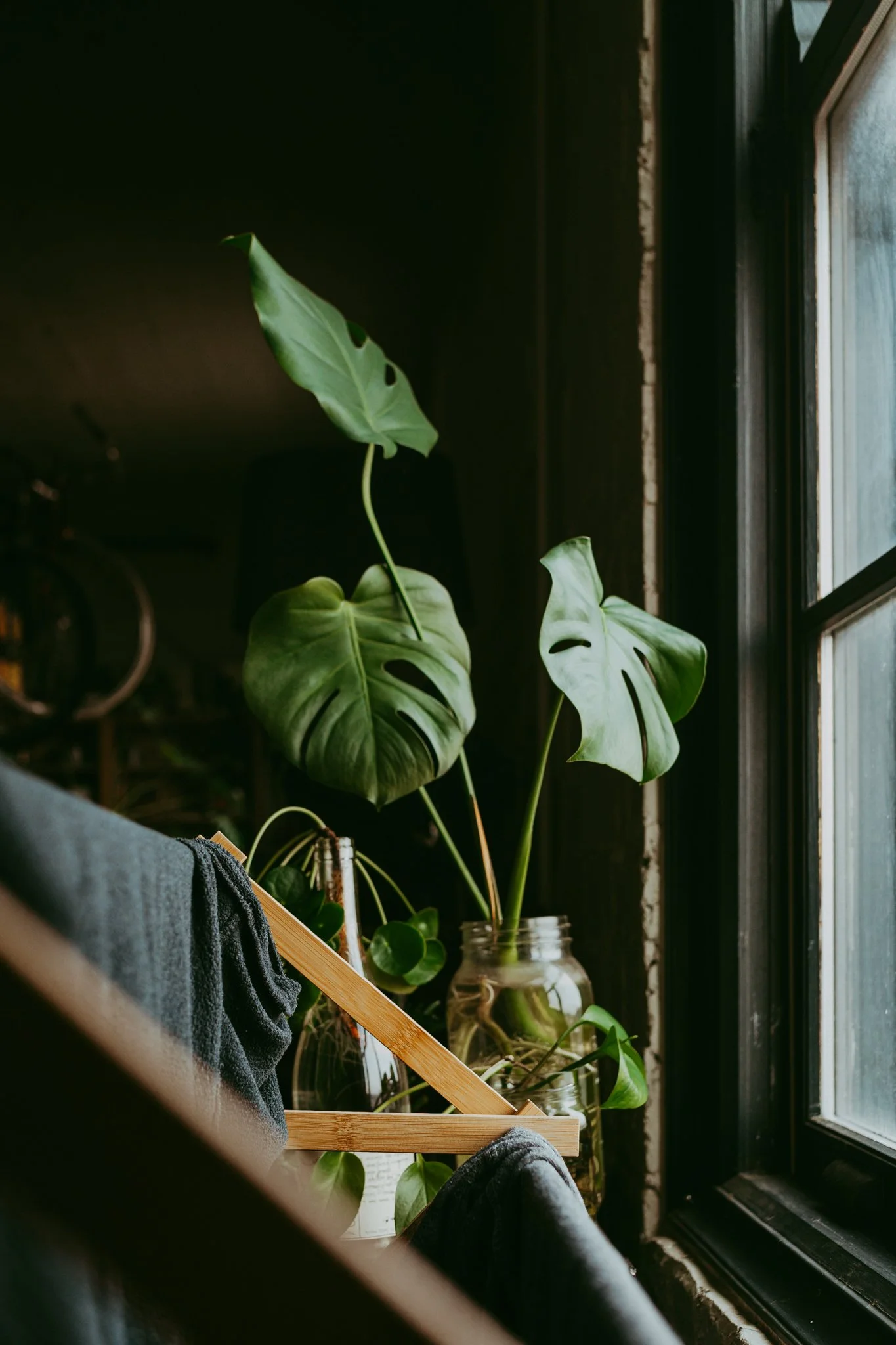 nooklookbook-jan-26-1.jpg