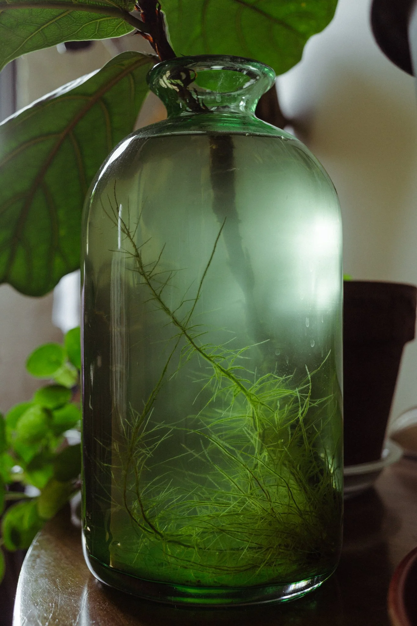 nook3-22.jpg