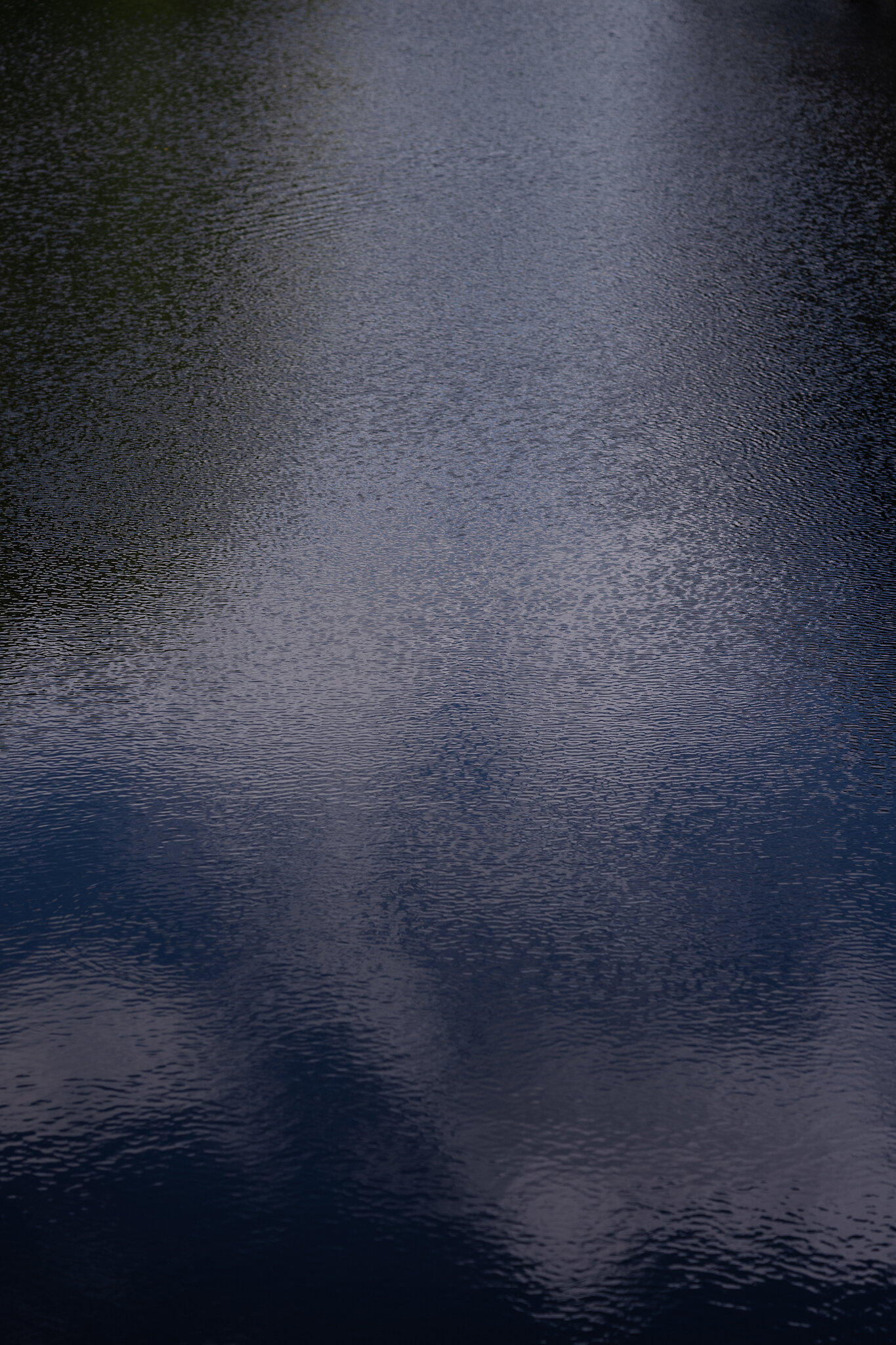 Ren_PoppyLawman_PhotographerChristofferEngström_LOW-REZ 7.jpg