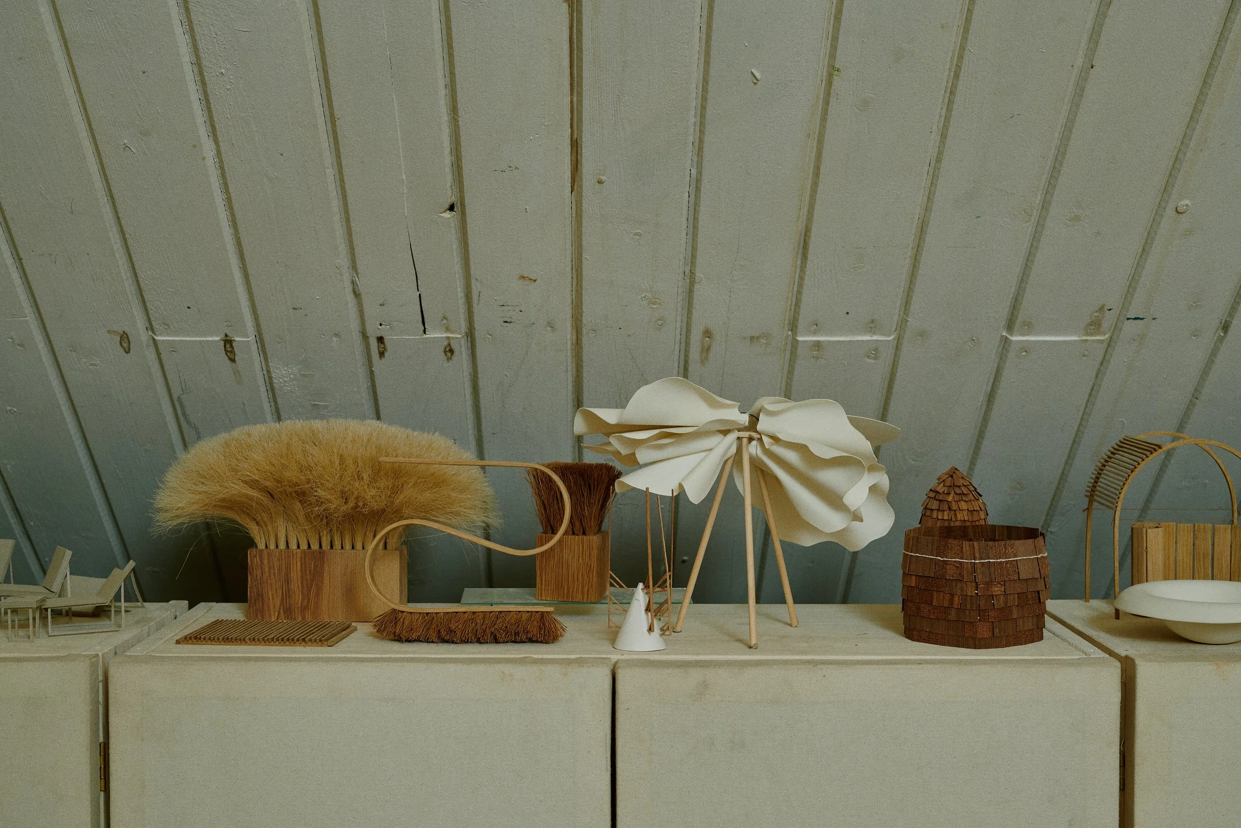 2019.09.27-Mold_Poppy5581.jpg